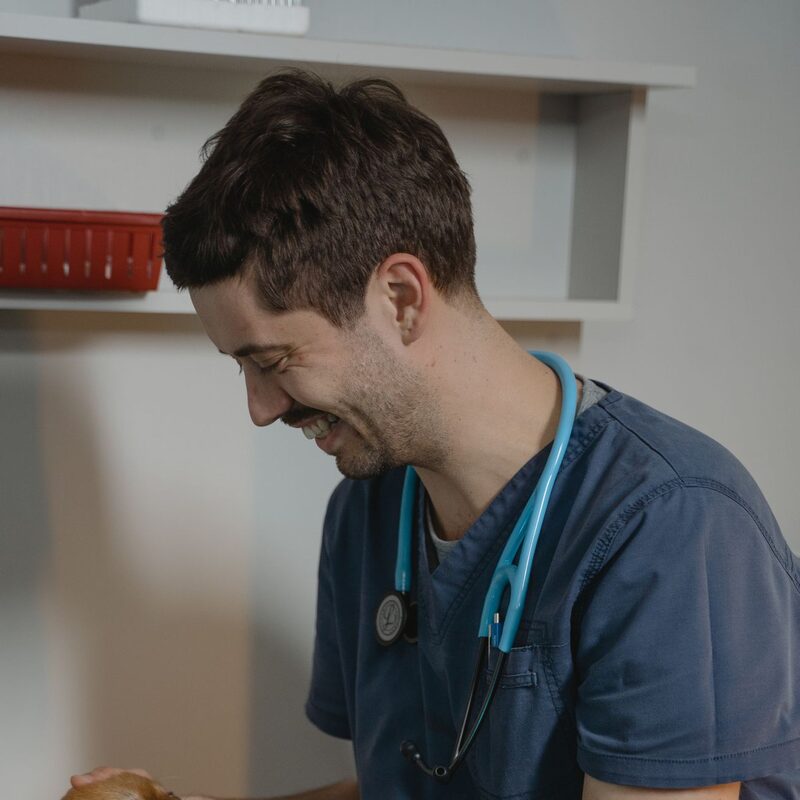 Dr. Ben Larkin in navy scrubs with a stethoscope, laughing as he pets a Pomeranian